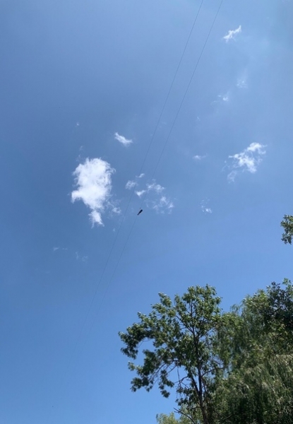 "ОРГХИМ" ЗАВЕРШИЛ СБОРЫ НА КАВКАЗЕ
    
      
      .
    
    
      МФК ОРГХИМ Нижегородская область 
      yesterday at 8:00 pm
    
Самый длинный зиплайн в России (более 1 км над ущельем в 33 этажа) испытали Александр Сурин, Рашид Камалетдинов и Сергей Климентьев, ледяной поток Медовых водопадов проверили Стас Ющенко и Макс Серебряков, а все вместе получили незабываемые впечатления от гостеприимства Карачаево-Черкесии и блюд ее кухни. Ну и две белоснежные вершины Эльбруса открылись сегодня команде во всей своей красе впервые за все сборы. Завтра полет домой, неделя долгожданного отдыха и в зал!