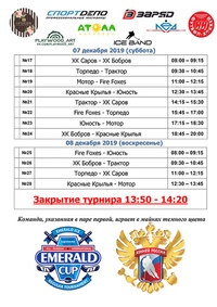 05 декабря - 08 декабря на ледовой арене "Emerald Ice" пройдет Регулярный турнир «Emerald Cup» среди команд младших юношей 2009 г.р.