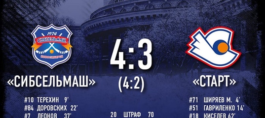 Заметает зима, заметает…