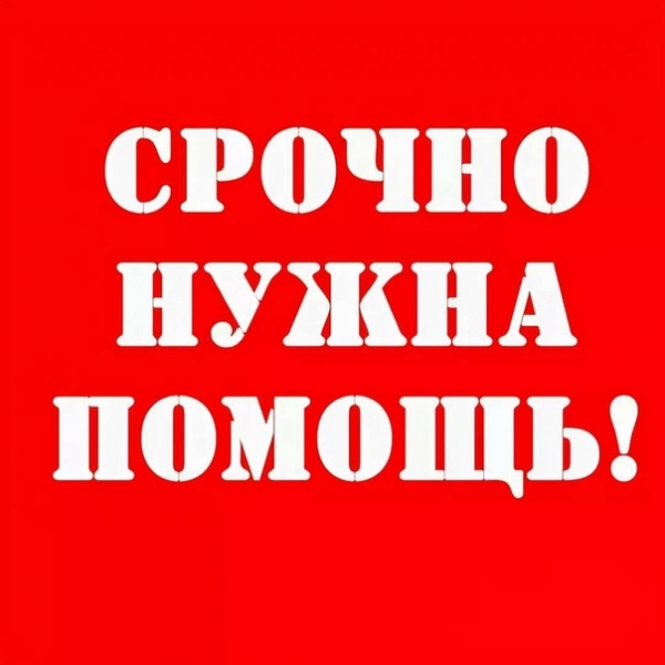 Срочно нужна помощь!