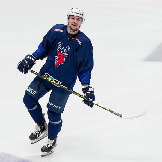 Проснулись, покатались 🏒

🐆 vs 🦌|..