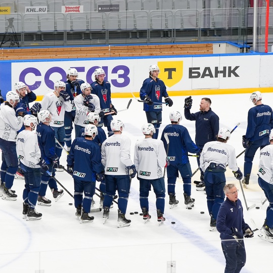 Проснулись, покатались 🏒

🐆 vs 🦌|..