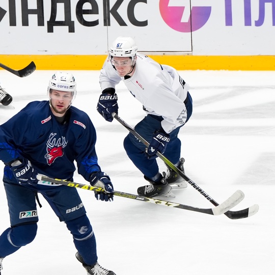 Проснулись, покатались 🏒

🐆 vs 🦌|..