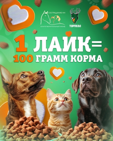 🐶🐱 &laquo;Торпедо&raquo; совместно с частным приютом для бездомных..