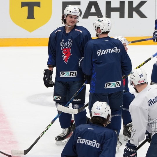 Проснулись, покатались 🏒

🐆 vs 🦌|..