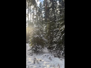 Клип @izumrudnoe
По дороге на каток в «Изумрудное»..