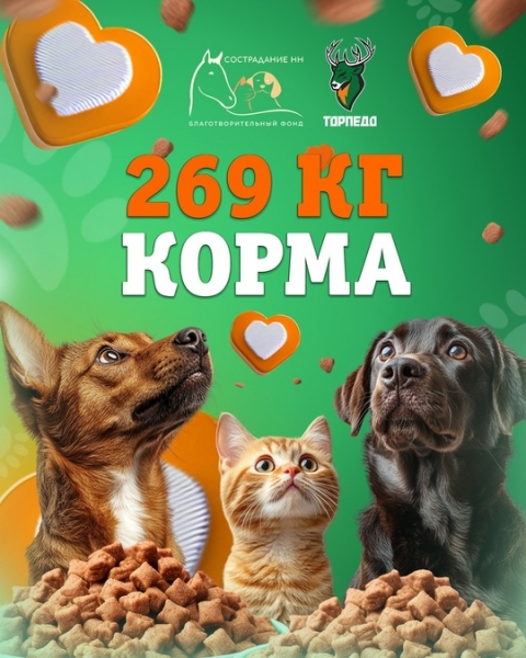 🐶🐱 269 КГ КОРМА мы собрали благодаря вашим лайкам для бездомных..
