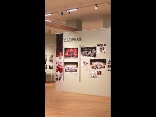 Спорт как искусство! 🖼🏒
В Нижегородском художественном музее..