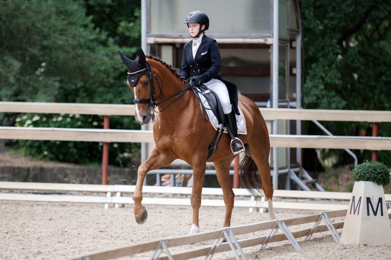 Конный спорт объединяет сильнейших! 🐴✨
С 30 июня по 5 июля на..