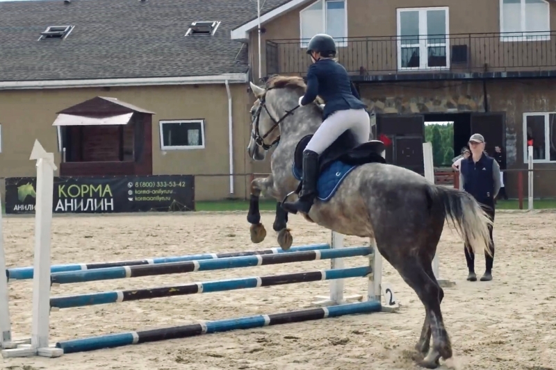 Память, мастерство и победный ритм 🐎
С 24 по 28 июня в КФХ «Три..