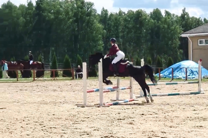 Память, мастерство и победный ритм 🐎
С 24 по 28 июня в КФХ «Три..