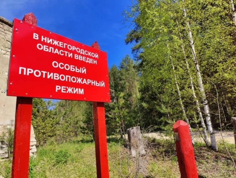Как отдохнуть в лесу и не стать случайным виновником..