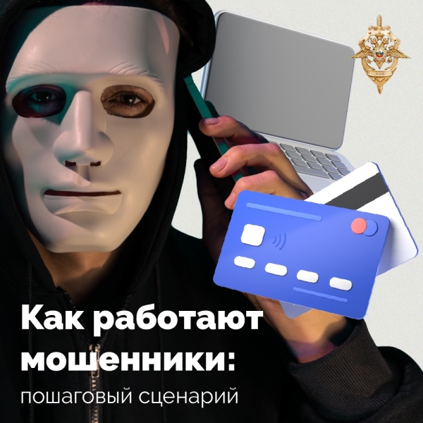 От первого «привет» до полного контроля: как выглядит..