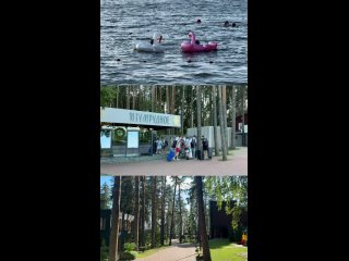 Клип @izumrudnoe_bo
Иногда лучший отдых — это просто..