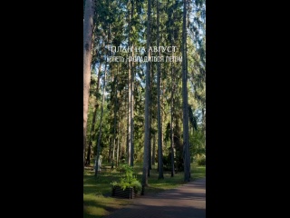 Клип @izumrudnoe_bo
Августовские закаты особенно прекрасные —..