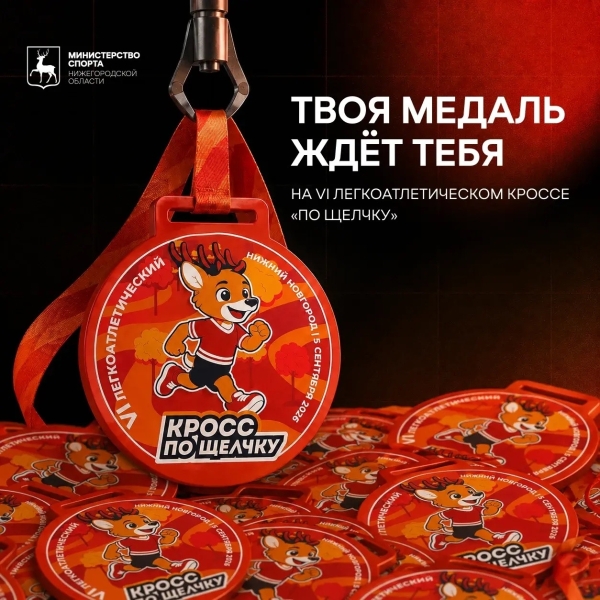 Твоя медаль тебя уже ждет!
До VI межрегионального..